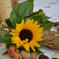 🅱️lack🕳️🅱️rain🧸💚🇪🇺🇩🇪🇮🇱🇺🇦🕊️🏴‍☠️ (@chrislee_beer) Twitter profile photo