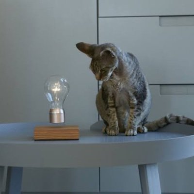 Fodol223's profile picture. スポーツ大好き😝
FX歴：2年/兼業トレーダー