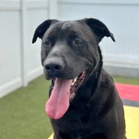 Jeremy Luck (@jeremy_luck) 's Twitter Profile