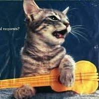 BukuleleVibes's profile picture. 