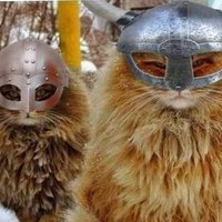 @starpainter.bsky.social (@starpainter) 's Twitter Profile