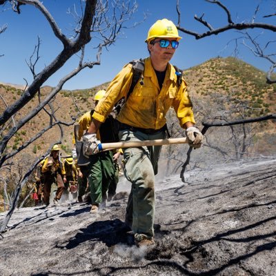 adamsegal_'s profile picture. Forest and Fire Science & GIS | Cal Poly | Reporter @WatchDutyApp | Santa Lucia Crew 7