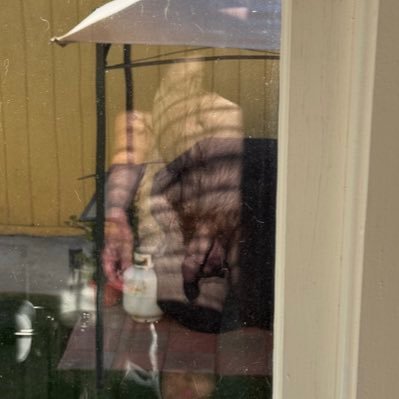 Uncut ginger slowly turning into a daddy. San Diego is home