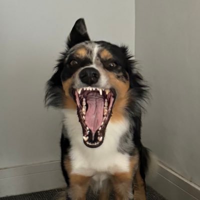 FosteroidFN's profile picture. Fortnite Creative 2.0 / UEFN Map Maker