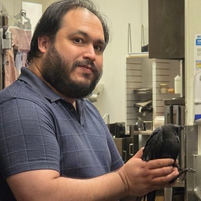 EugenioJSantia2's profile picture. 