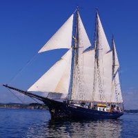 Blue Clipper (@maybesailing) 's Twitter Profile