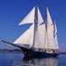 Blue Clipper (@maybesailing) Twitter profile photo Blue Clipper (@maybesailing) Twitter profile photo