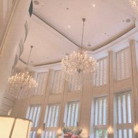 ハル🎀プロカ必読 (@trhk_tmmh) 's Twitter Profile