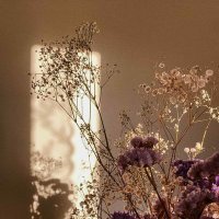 birisi (@ilkmathh) 's Twitter Profile Photo