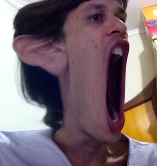 Aquiete a mente e aprenda a olhar...