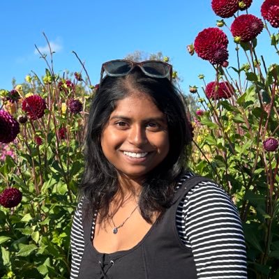 _ino_las's profile picture. PhD from VU Amsterdam (current) MSc from IISER Mohali BSMS '23