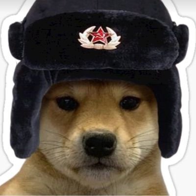 FilipWif's profile picture. 