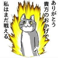 atsushi♡🔃(あつし) (@atsushi_787) 's Twitter Profile Photo atsushi♡🔃(あつし) (@atsushi_787) 's Twitter Profile Photo