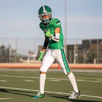 Nemicio Gallegos (@cantguardneme1) 's Twitter Profile