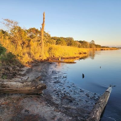 saunderscori1's profile picture. Award-winning journalist, photographer, teacher
/
Outer Banks reporter
/ Formerly @virginianpilot, @daily_press, @dailyadvance, etc.
/
Opinions my own
