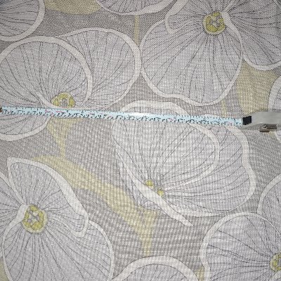 thatismyknee's profile picture. fairness