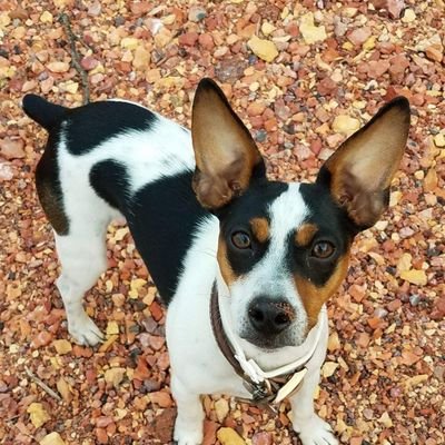 1sonnyw1's profile picture. GOD Family Country BC survivor