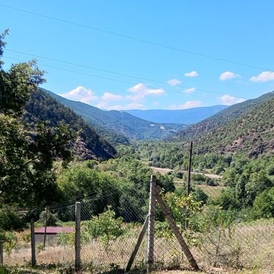 Tu96560820Murat's profile picture. 