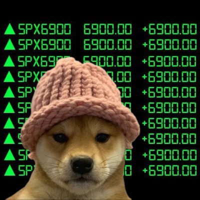 petarupwork's profile picture. 