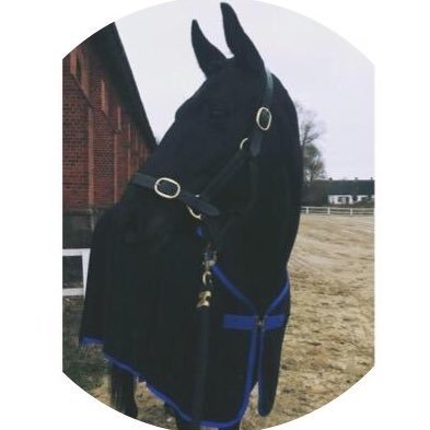 MarwanSam24's profile picture. قال: نعم الكريم إذا تحدث بإحسانه لمن أحسن إليه