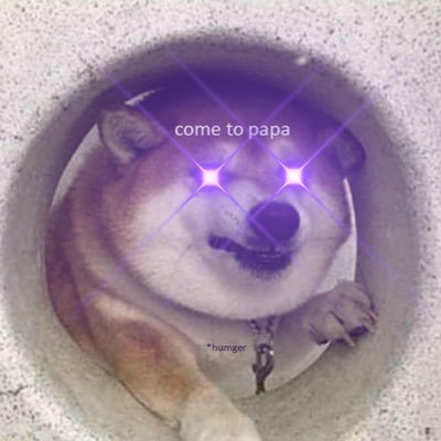 jaysolanajay's profile picture. Jay 🤝 Solana