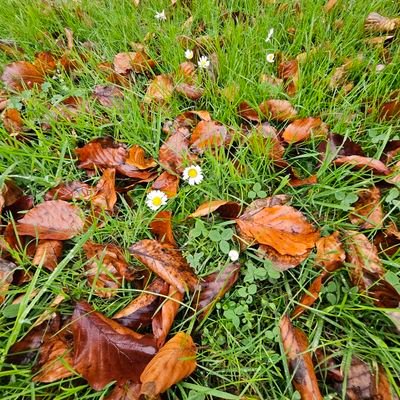 Ebruacb's profile picture. Artvin 🇹🇷Deutschland 🇩🇪Bilkent Uni 📚EDMACjuniorB