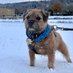 Lord Hamish HRH โ๏ธ๐ถ (@hamish_hrh) Twitter profile photo Lord Hamish HRH โ๏ธ๐ถ (@hamish_hrh) Twitter profile photo