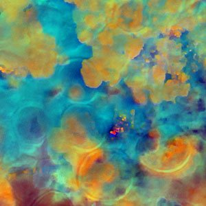 zeitkunst's profile picture. All tweets deleted because of Elon.