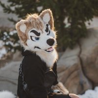 Chad π Maybe FWA πππ (@chadhuskers) 's Twitter Profile Photo Chad π Maybe FWA πππ (@chadhuskers) 's Twitter Profile Photo