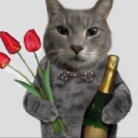 Heckler & Kochodile (@kochodile) 's Twitter Profile