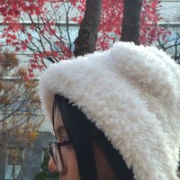 Hokphip (@hokphip) 's Twitter Profile