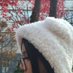 Hokphip (@hokphip) Twitter profile photo Hokphip (@hokphip) Twitter profile photo