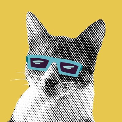 ninocoinsol's profile picture. Ain’t just a memecoin. #Nino is a visionary, cool, real life cat with an interstellar mission. Don't miss, $NiNO is coming soon 😼