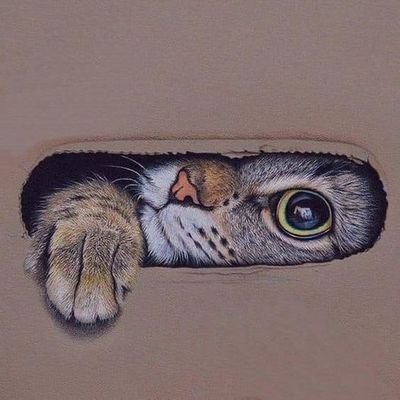 sevenikoooovura's profile picture. 