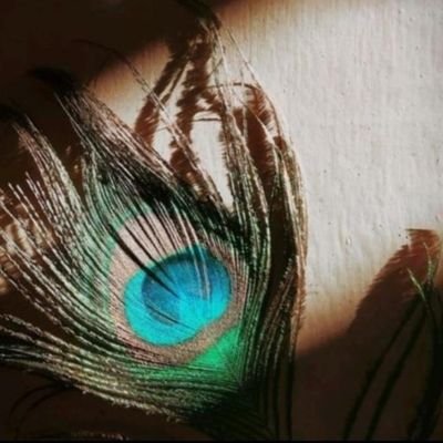 saurabhyadavmp's profile picture. Efforts always pay off.