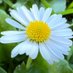 My NatureShots Gallery (@natureshotsg) Twitter profile photo My NatureShots Gallery (@natureshotsg) Twitter profile photo