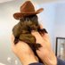 PNUT - Peanut The Squirrel | Fan Page (@pnutofsol) Twitter profile photo PNUT - Peanut The Squirrel | Fan Page (@pnutofsol) Twitter profile photo