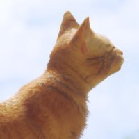 ももも (@momom_iii) 's Twitter Profile Photo ももも (@momom_iii) 's Twitter Profile Photo
