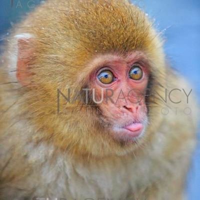 ahmah2412643931's profile picture. 