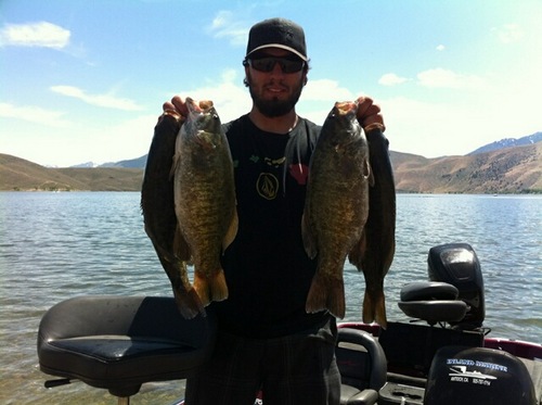 swimbaitvinni's profile picture. 