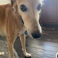 Michelle De Long (@michelledelong) 's Twitter Profile