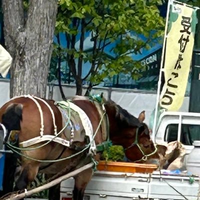 なさんのプロフィール画像