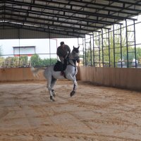 Umut 🇲🇰 (@cavalierumd1925) 's Twitter Profile