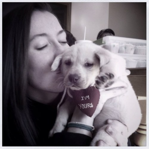 kenzlindquist's profile picture. 