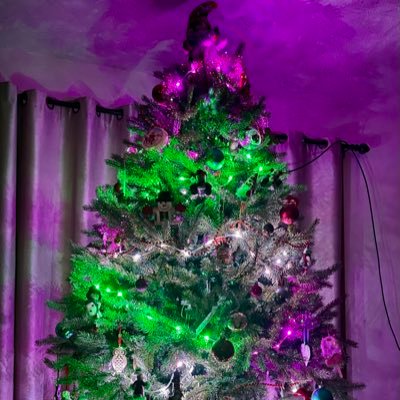 EJ7281319599168's profile picture. 💜🤍💚 #FreeSpeech #WomenLifeFreedom ⚔️⚔️#ProtectWomansSports 🇺🇸American of mixed cultural backgrounds 🦞🪶🇮🇪🇨🇿🇫🇷 #GetOutOfMyDaughtersSpaces 🇺🇸