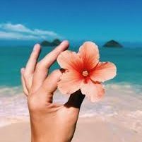 Gabe_Demange's profile picture. Aime les endroits calmes et les tempêtes