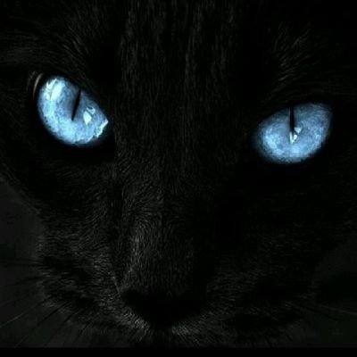 IceHoleFisher's profile picture. ILLEGITIMI NON CARBORUNDUM
    (Don't let the bastards grind you down)
                
           TRUMP 2024

FIGHT, FIGHT, FIGHT
Q