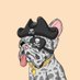 Nev (@crypticnev) Twitter profile photo Nev (@crypticnev) Twitter profile photo