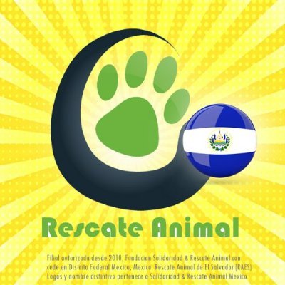 Cuenta Oficial para El Salvador, filial OFICIAL de @RescateAnimal México.
NO SOLICITAMOS DONACIONES