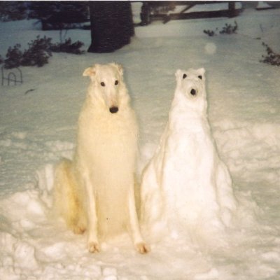 morcuryy's profile picture. 